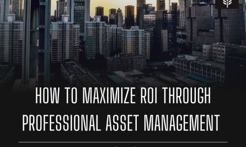 How to Maximize ROI Through Professional Asset Management